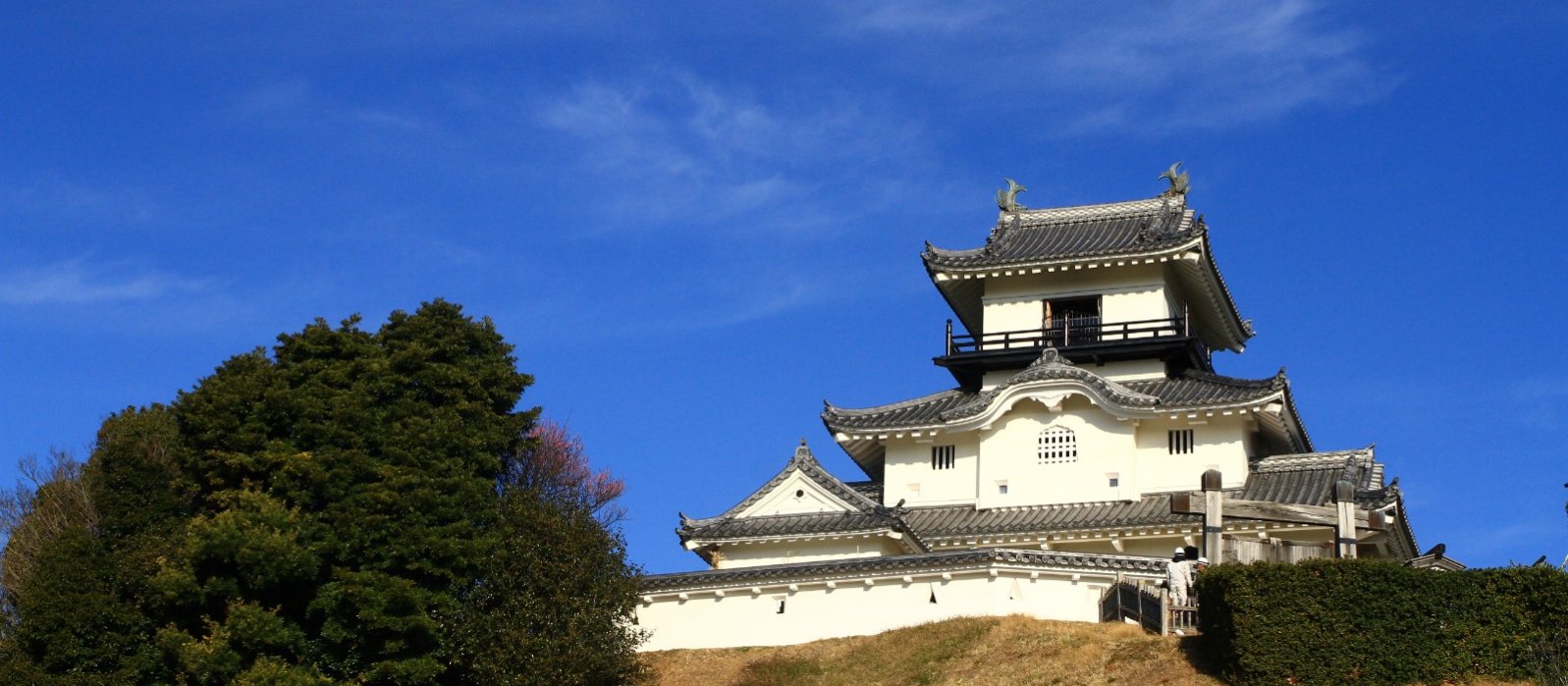 ページタイトル